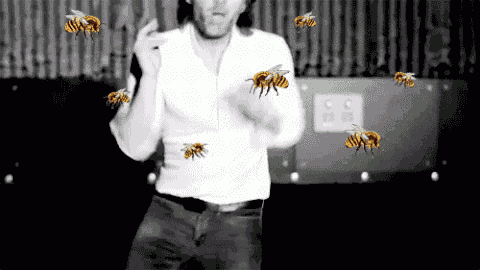 Clinical Terminology: T63.441A, Toxic effect of venom of bees