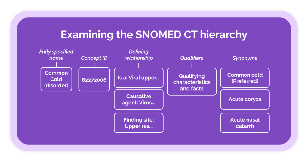 SNOMED CT hierarchy